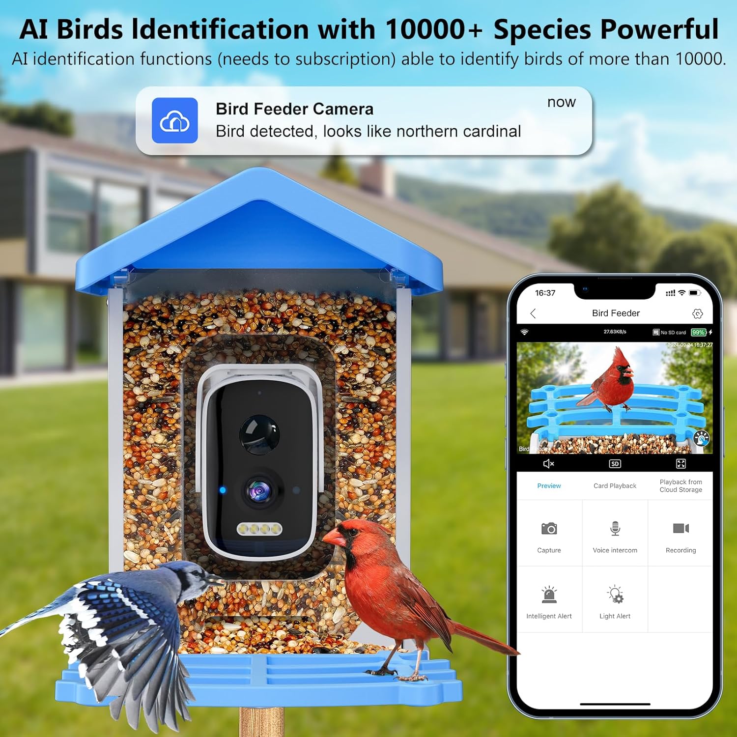 Smart Bird Feeder with Camera  - Smart Garden Ai recension och pris