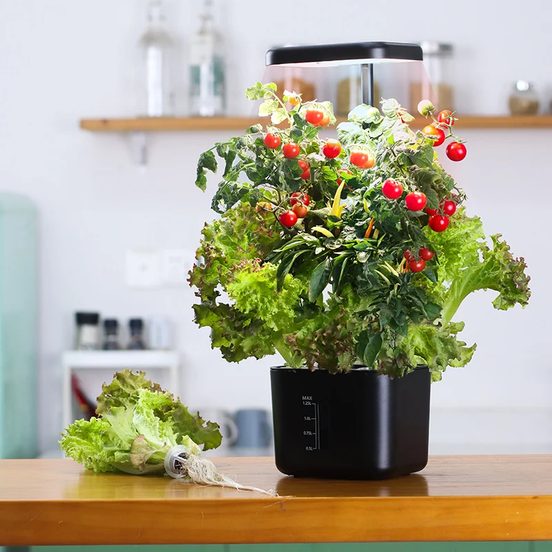 Growing System Indoor Garden 4 - Indoor Herb Garden Kit recension och pris