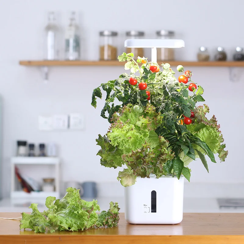 Growing System Indoor Garden 4 - Indoor Herb Garden Kit recension och pris