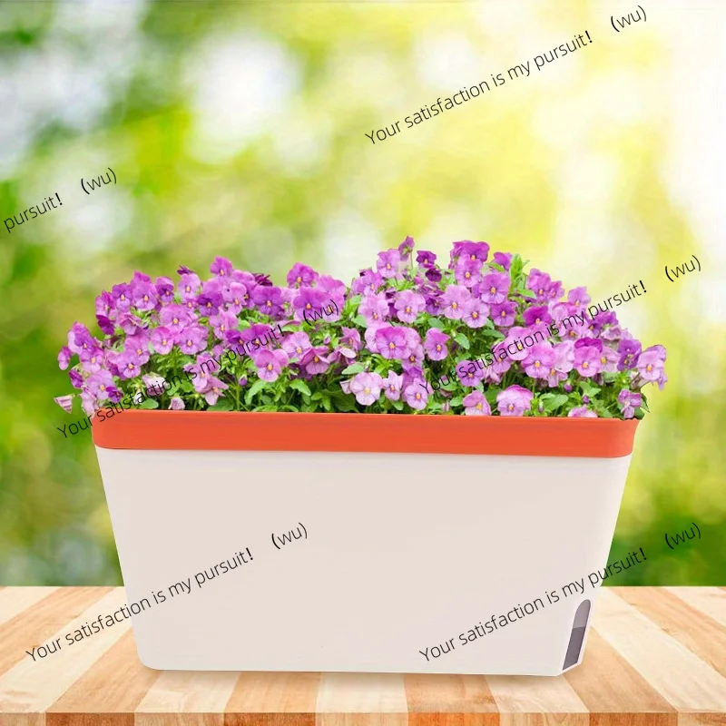 Self-Watering Windowsill Plant - Indoor Herb Garden Kit recension och pris
