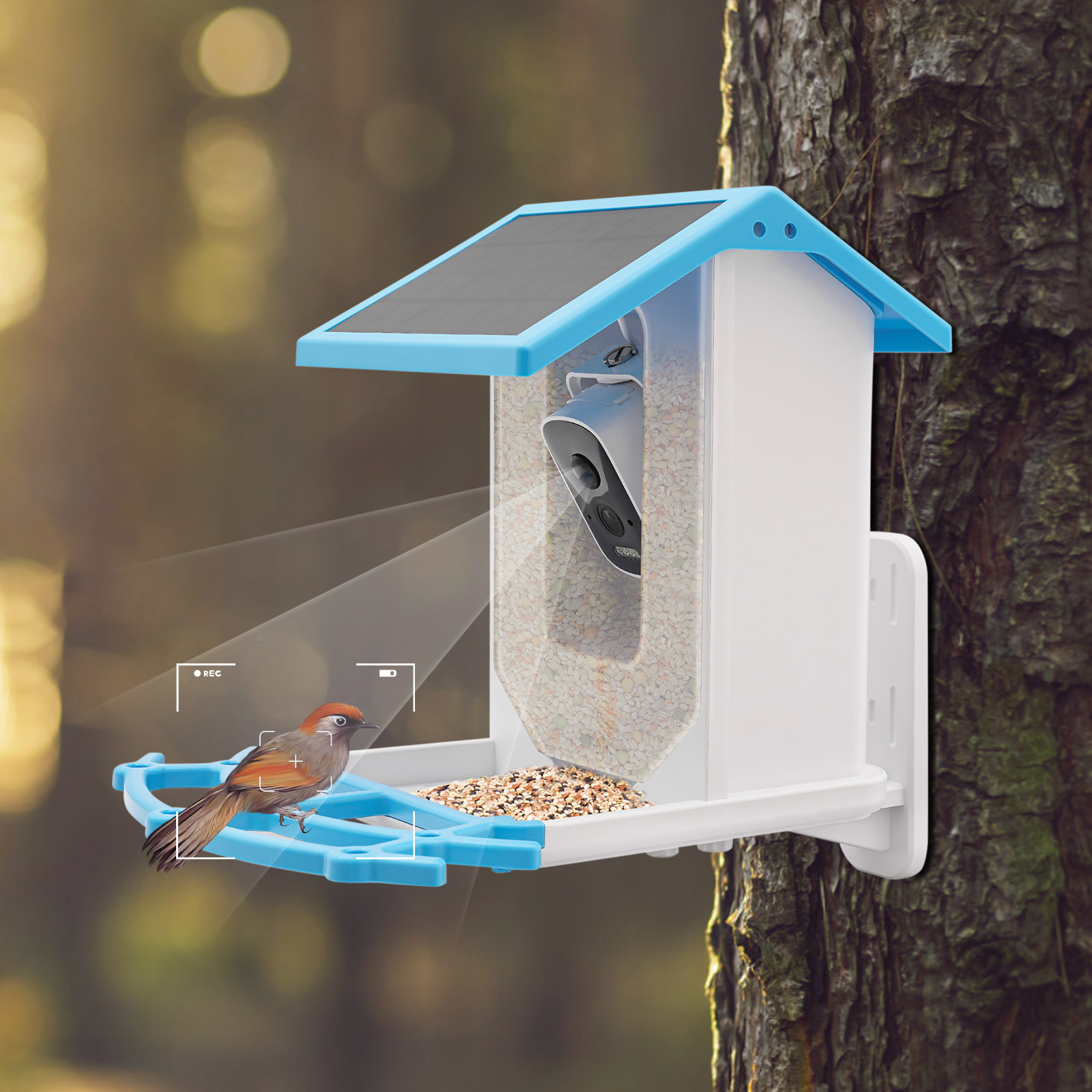 Solar Powered Smart Bird Feede - Smart Garden Ai recension och pris