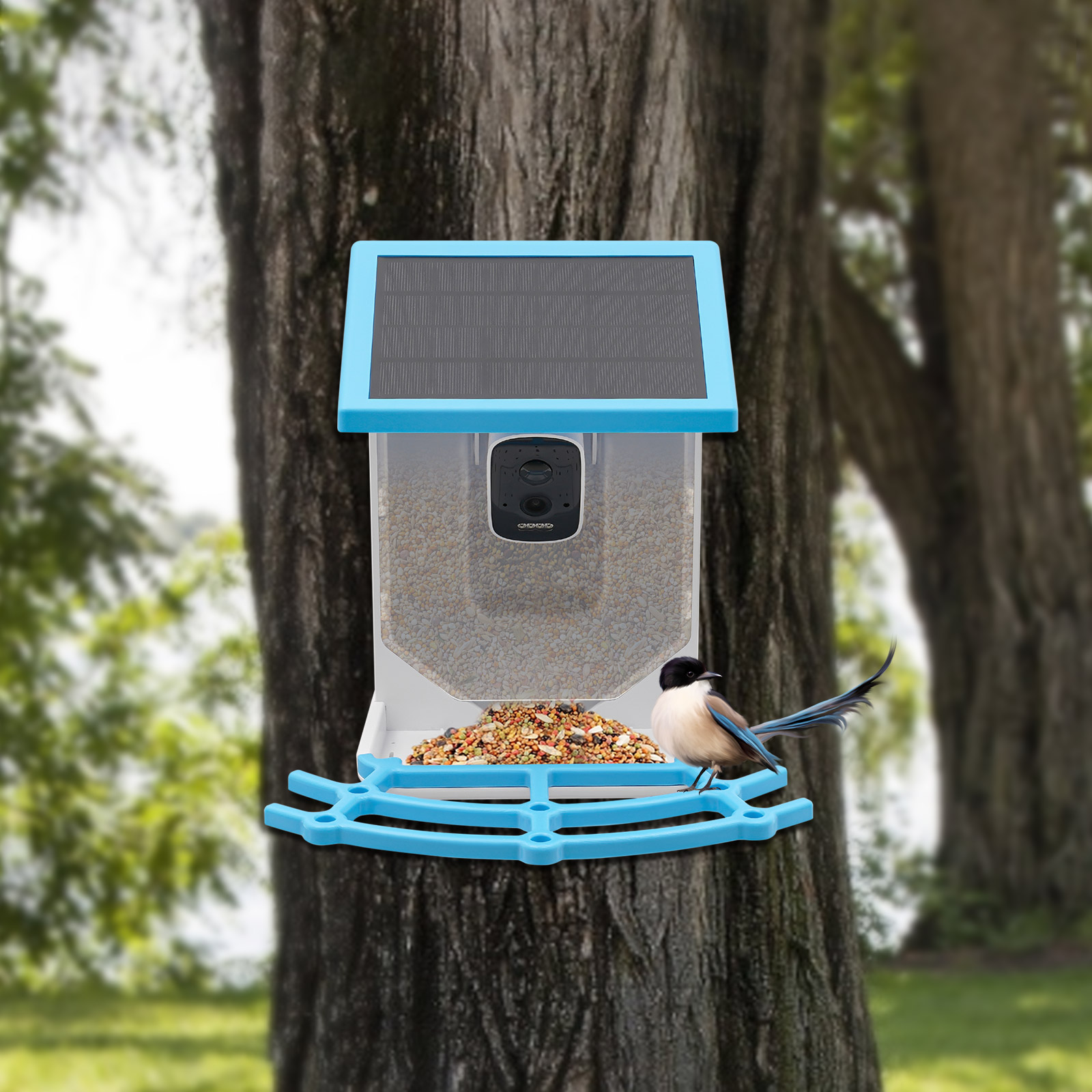 Solar Powered Smart Bird Feede - Smart Garden Ai recension och pris