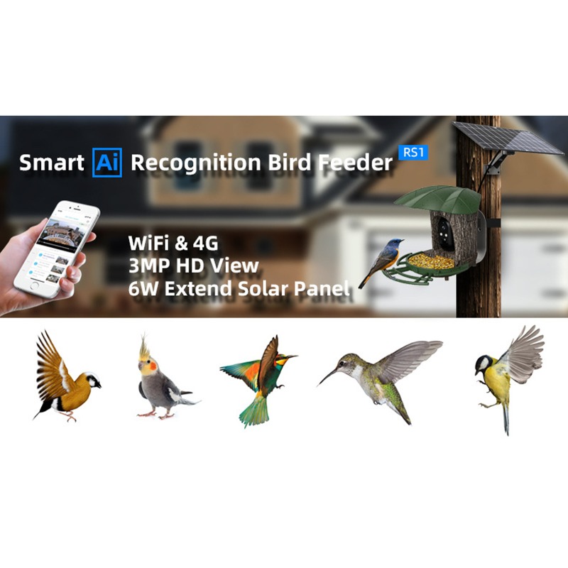 Solar AI Smart Bird Feeder Bir - Smart Garden Ai recension och pris