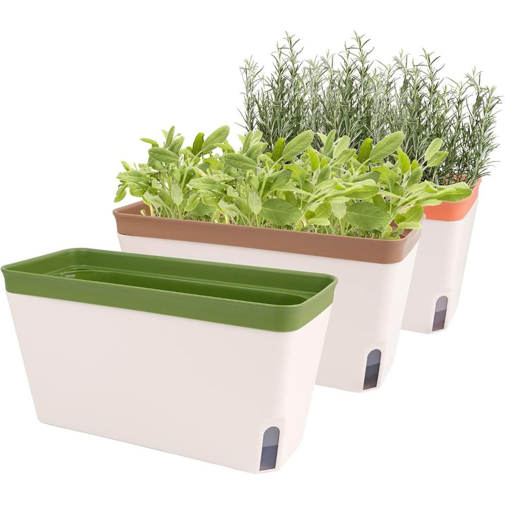 High Quality Modern Self Water - Indoor Herb Garden Kit recension och pris