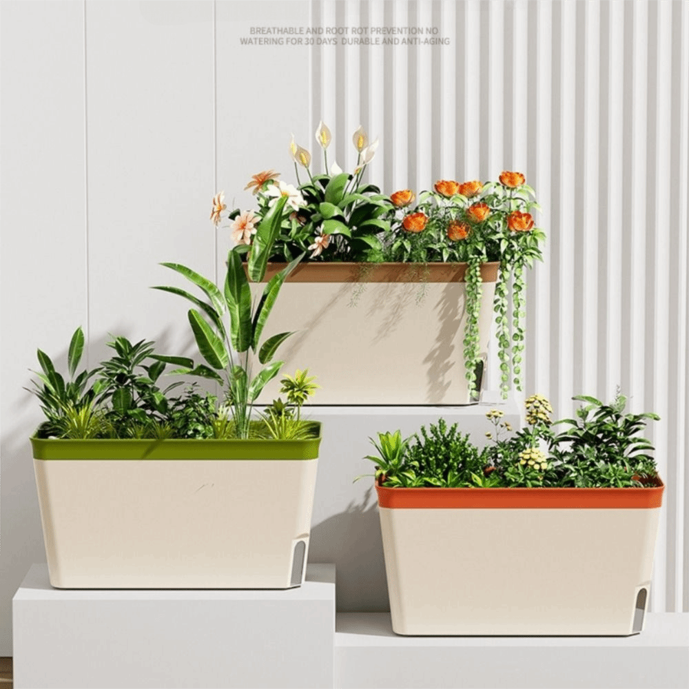 High Quality Modern Self Water - Indoor Herb Garden Kit recension och pris