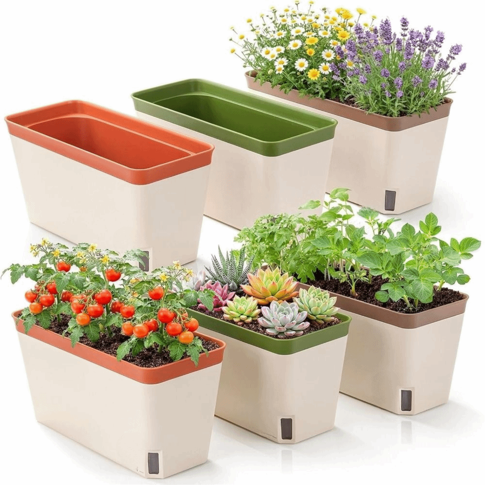High Quality Modern Self Water - Indoor Herb Garden Kit recension och pris